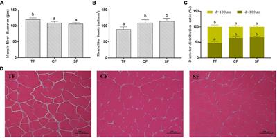 The comparison of largemouth bass (Micropterus salmoides) fed trash fish and formula feeds: Growth, flesh quality and metabolomics